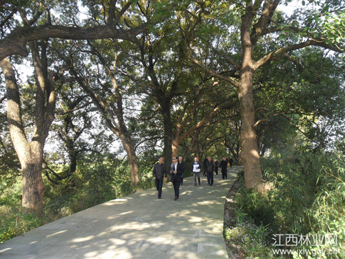 1513931237193384.jpg 20171106092506438.jpg