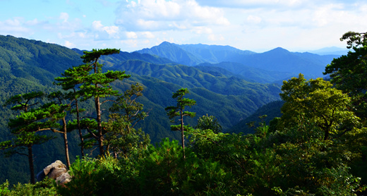 1514191849493230.jpg 岩泉国家森林公园2_副本.jpg