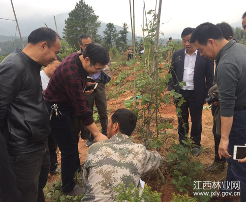 1514274160643282.jpg 资溪县举办林下经济暨中药材种植培训.jpg